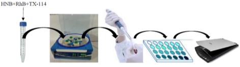 Simultaneous Preconcentration and Determination of Nile Blue A and Rhodamine B in Aqueous Samples by the Cloud Point Extraction Coupled with the Solution Scanometric Method